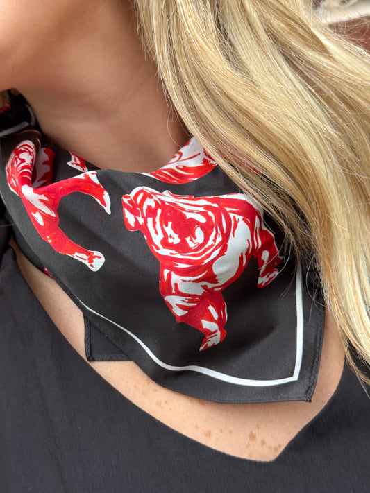 Sic 'Em Gameday Scarf | Black