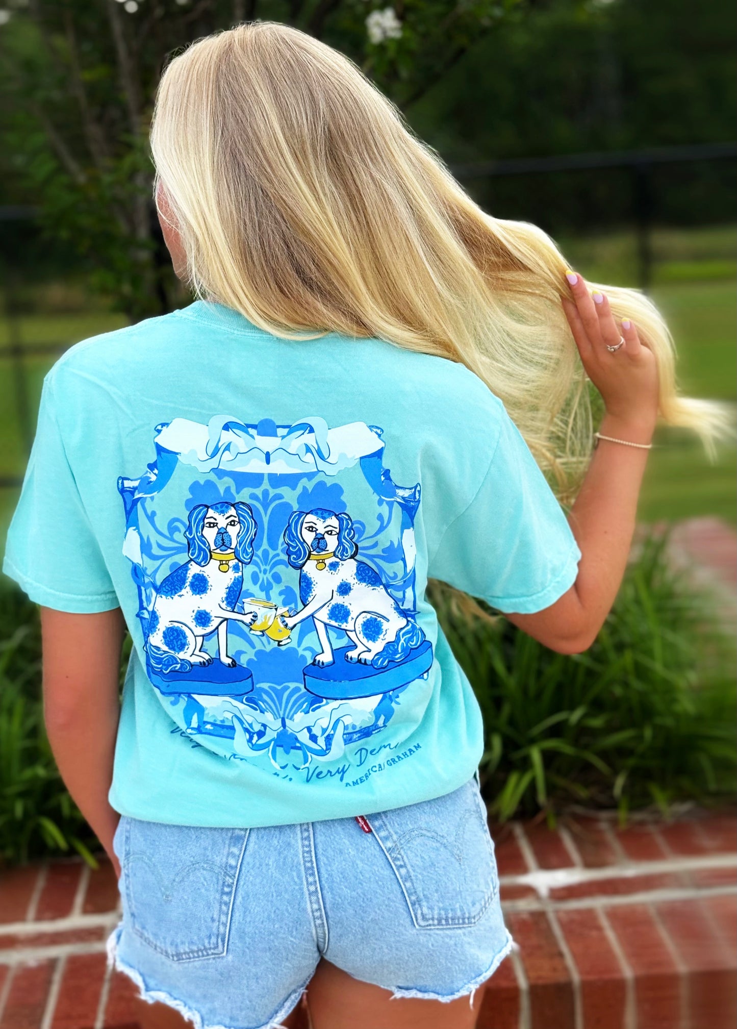 Demure Dogs, Spring Chinoiserie Blue & White Artisan Graphic Tee American Graham Apparel