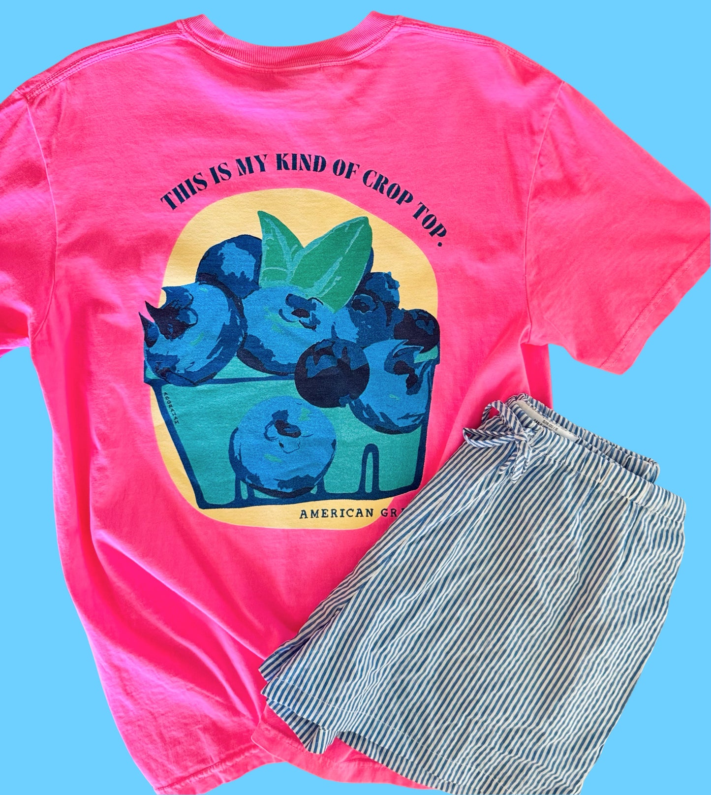 My Kind of Crop Top Blueberry Comfort Colors® Graphic Tee | American Graham