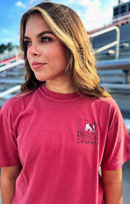 You Don't Want Us Comfort Colors T-Shirt American Graham Apparel