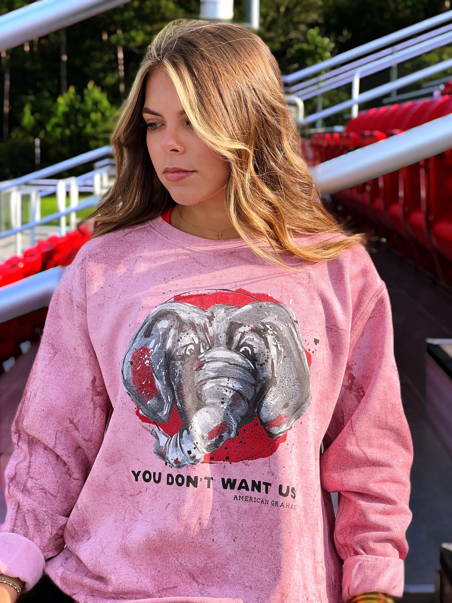 You Don't Want Us Mineral Wash Sweatshirt American Graham Apparel