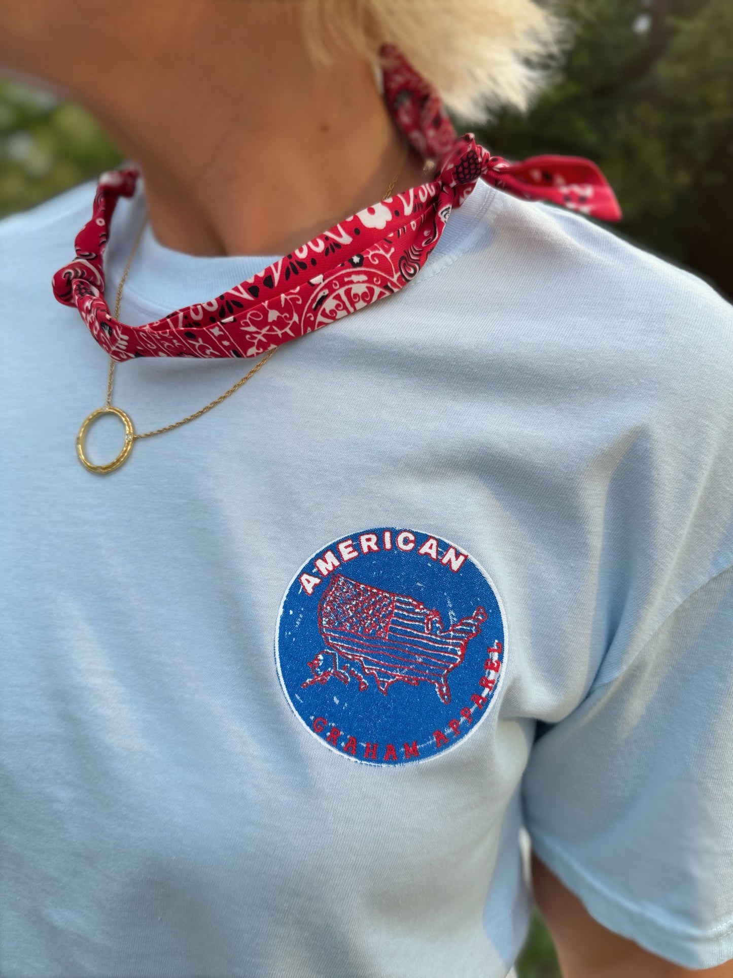 Land of the Free Dog Patriotic Graphic T-Shirt | American Graham Apparel | USA Flag Dog Tee