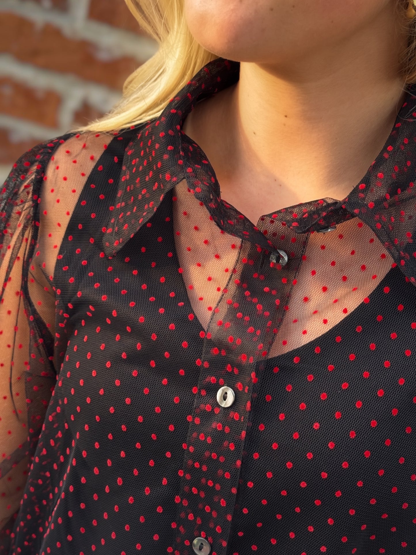 Night Game Red-Dotted Mesh Blouse