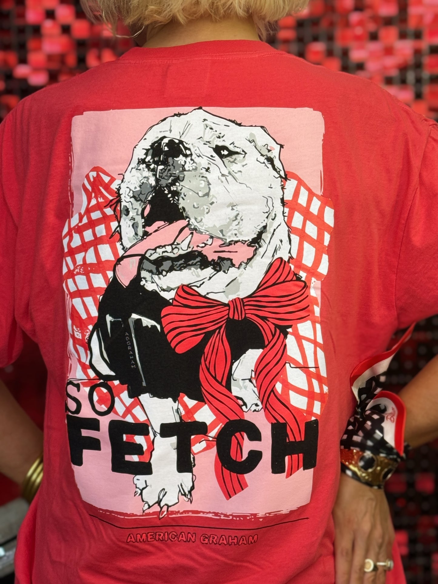 So Fetch Bulldog Comfort Colors® Graphic T-Shirt
