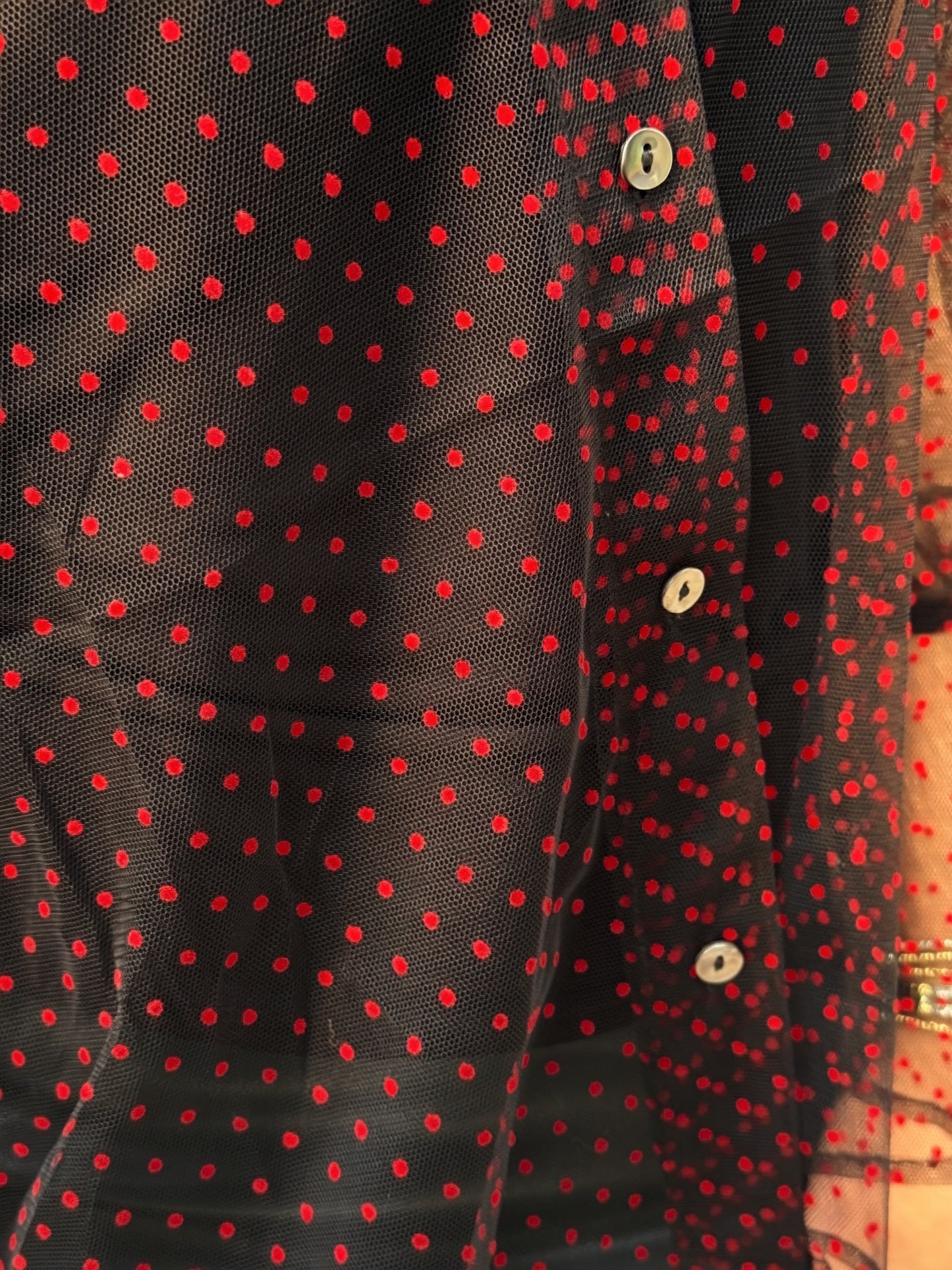 Night Game Red-Dotted Mesh Blouse