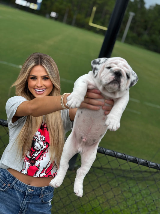 Real Fans BARK At People Acid Wash Graphic T-Shirt - American Graham Apparel American Graham Apparel