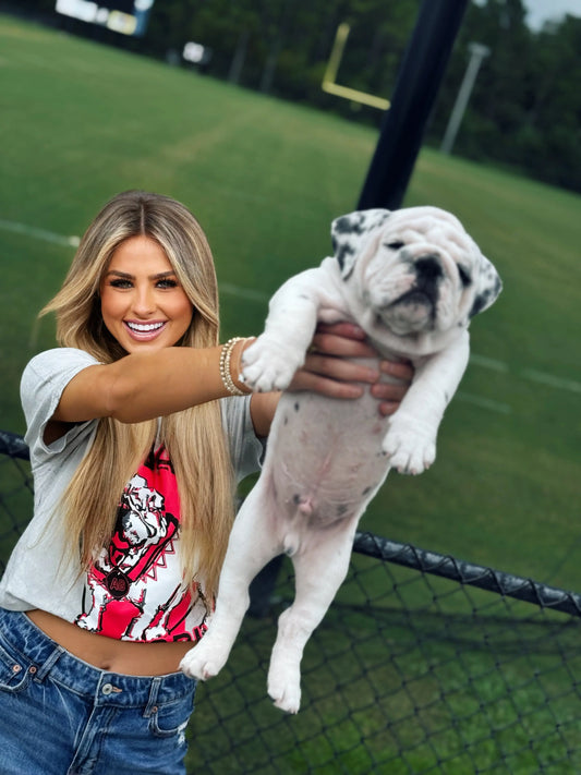 Real Fans BARK At People Acid Wash Graphic T-Shirt - American Graham Apparel American Graham Apparel