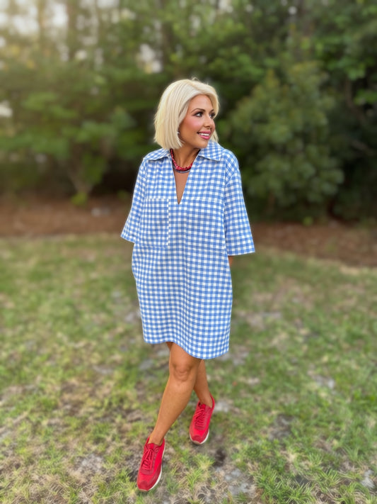 Liberty Blue Gingham Oversized Shirt Dress