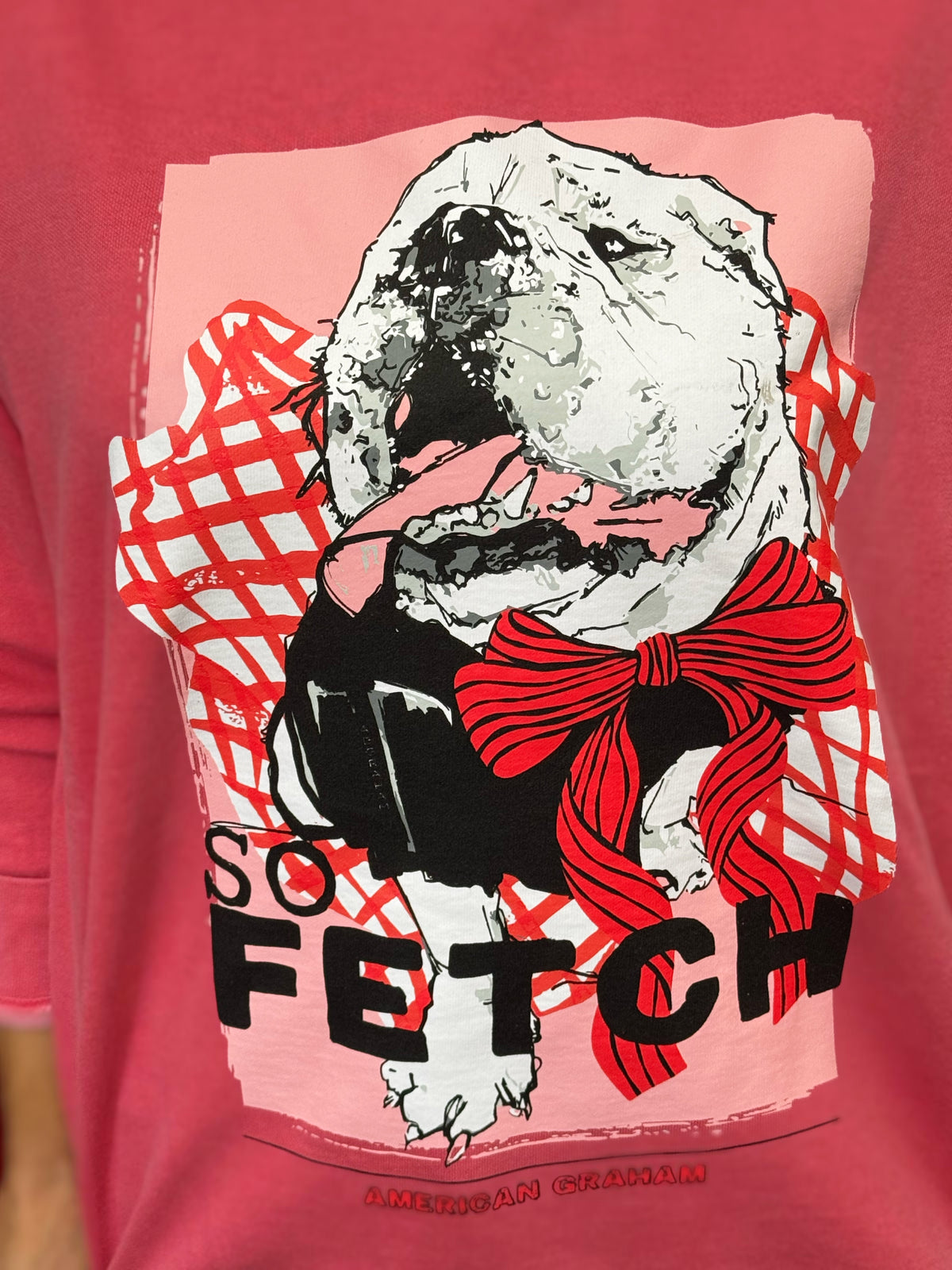 So Fetch Bulldog Comfort Colors Graphic Sweatshirt