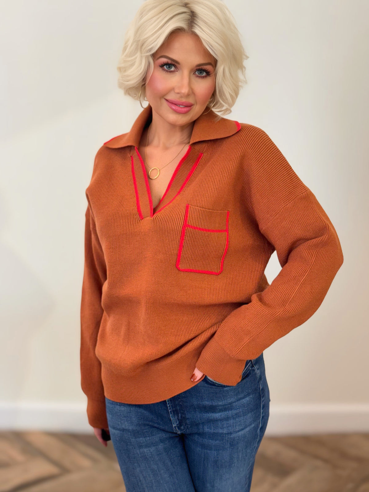 Ginger Ribbed Collared V-Neck Pullover Sweater