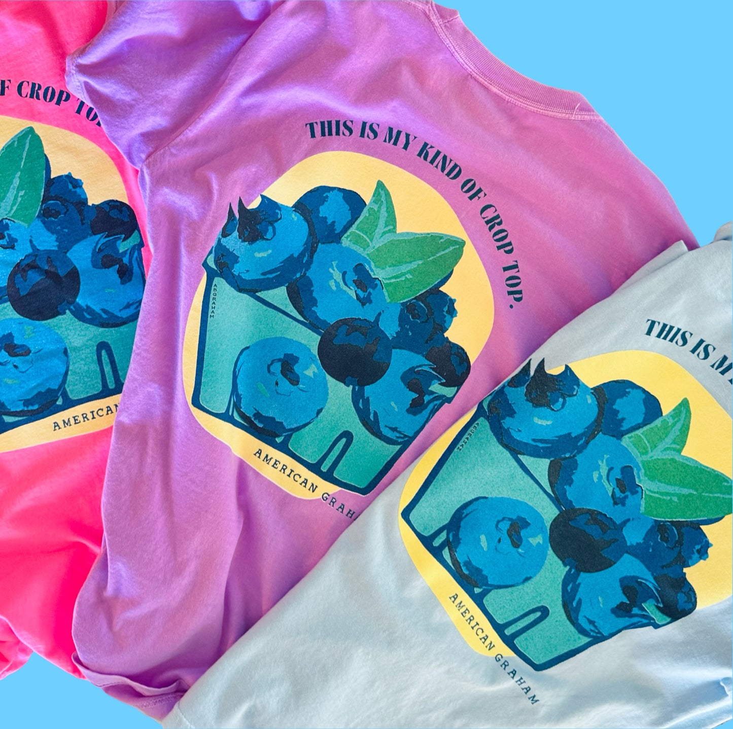 My Kind of Crop Top Blueberry Comfort Colors® Graphic Tee | American Graham