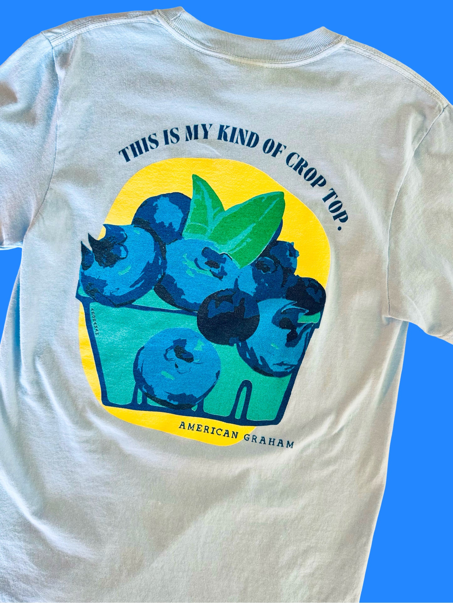 My Kind of Crop Top Blueberry Comfort Colors® Graphic Tee | American Graham