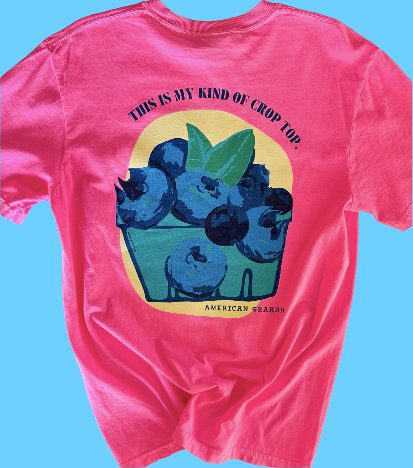 My Kind of Crop Top Blueberry Comfort Colors® Graphic Tee | American Graham
